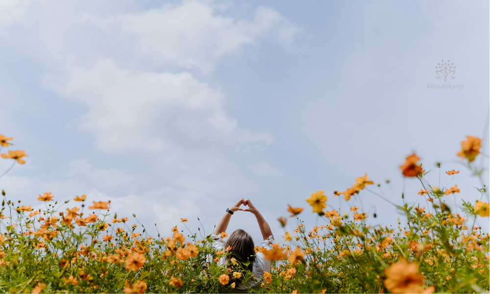 Tietoinen deittailu – keskusteluja ennen seurustelua